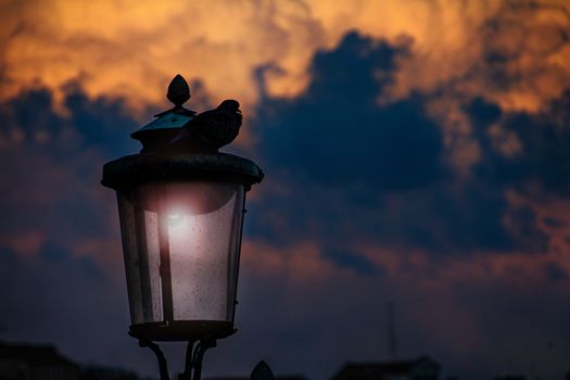 the quite before the storm - storms clouds at sunset with a dove on top.