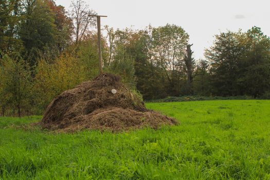 composting in filed to gain organic fertilizer. with trees and grass