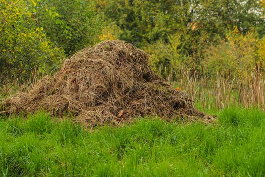 composting in filed to gain organic fertilizer. with green grass in background