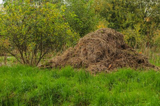 composting in filed to gain organic fertilizer. One way to protect our plant