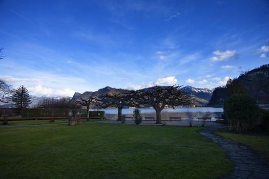 lake lucerne with Rig with clue sky and clouds with trees