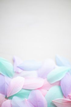 Coral Pink blue green pastel colored color trends feather texture background easter holiday softness concept