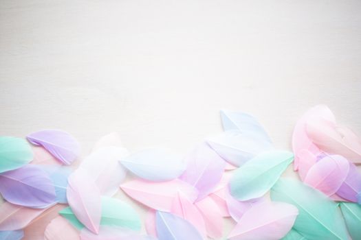 Coral Pink blue green pastel colored color trends feather texture background easter holiday softness concept