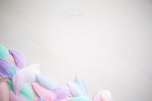 Coral Pink blue green pastel colored color trends feather texture background easter holiday softness concept