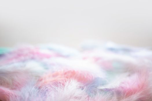 Coral Pink blue green pastel colored color trends feather texture background easter holiday softness concept