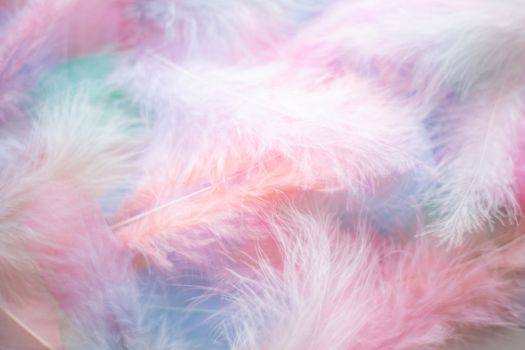 Coral Pink blue green pastel colored color trends feather texture background easter holiday softness concept