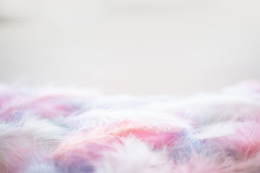 Coral Pink blue green pastel colored color trends feather texture background easter holiday softness concept