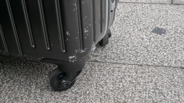 The close up of Wheeled luggage travel bag on concrete texture ground.