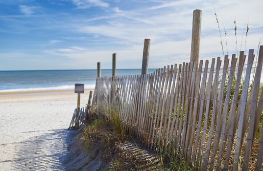 Dune Fence on the Beach