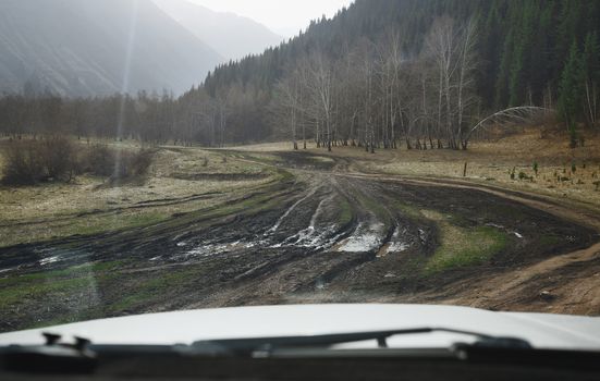 Road trip through the nature of Europe. Car point of view