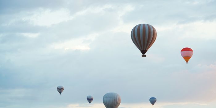 Group of hot air balloons flying in the sky