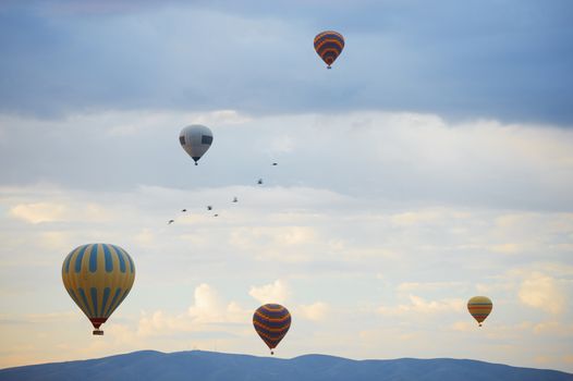 Hot air balloons and birds flying over the mountains