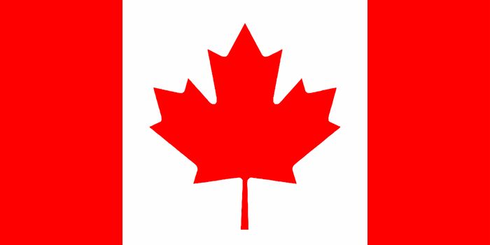 The canadian flag