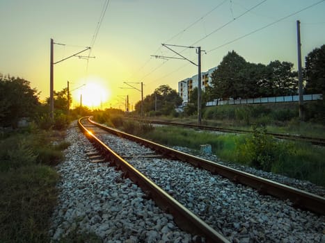 An old railroad, surrounded by nature, beautifully lighted by the sunset.