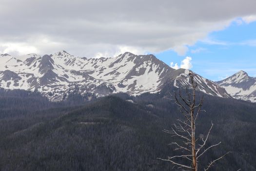 A snow covered mountain. High quality photo