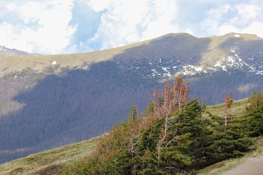 A view of the green grassy covered Colorado mountains