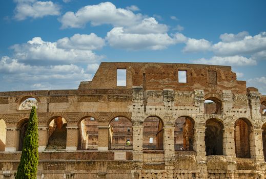 Walls of Roman Coliseum from Outside with a juniper tree