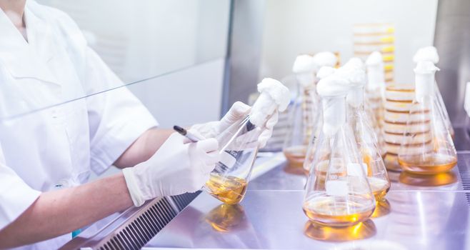 Female scientist working with laminar flow at corona virus vaccine development laboratory research facility. Corona virus pandemic concept. Development of virus treatment drug.