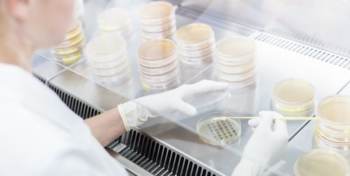 Female scientist working with laminar flow at corona virus vaccine development laboratory research facility. Corona virus pandemic concept. Development of virus treatment drug.