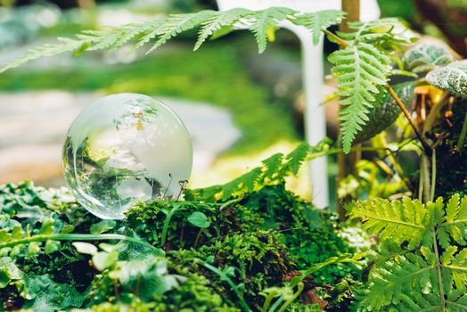 Globe glass in grass forest on nature background, Environment Day Concept