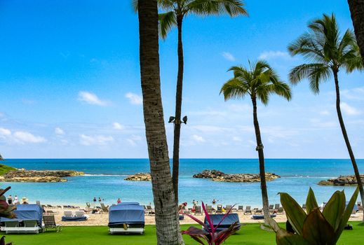 A garden of tropical flowers and plants frames an expansive view of the Pacific Ocean.