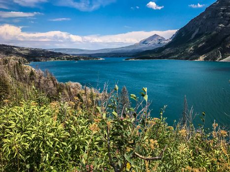 Glacier National Park Montana Rocky Mountains usa