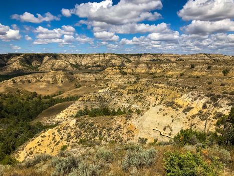 Theodore Rosevelt National Park north Dakota USA