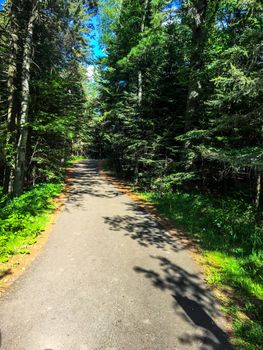 Trail through woods around Lake Michigan