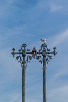 A seagull standing on an old lamp post with some interesting shapes and the sky in the background, Bucharest, Romania