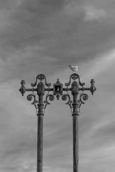 A seagull standing on an old lamp post with some interesting shapes and the sky in the background in black and white, Bucharest, Romania
