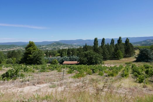 village of vaucluse, roussillon and bonnieux between vineyard and village, France
