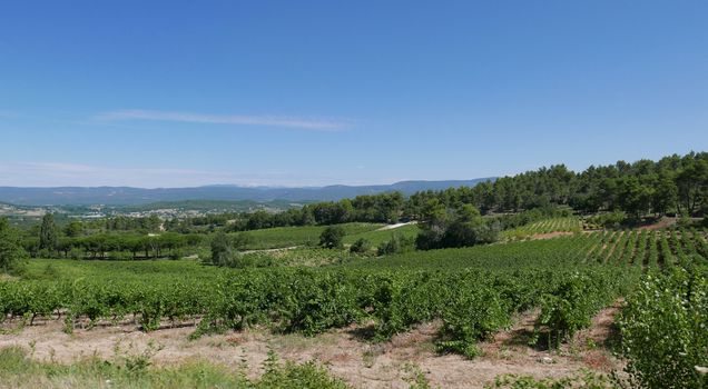village of vaucluse, roussillon and bonnieux between vineyard and village, France