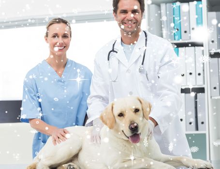 Veterinarians with dog in clinic against snow falling