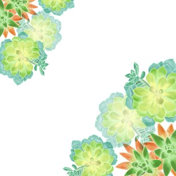 Hand drawn illustration of Watercolor succulents on white background. Botanical Floral bouquet for card design