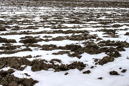 The picture shows a field from a farmer in the winter