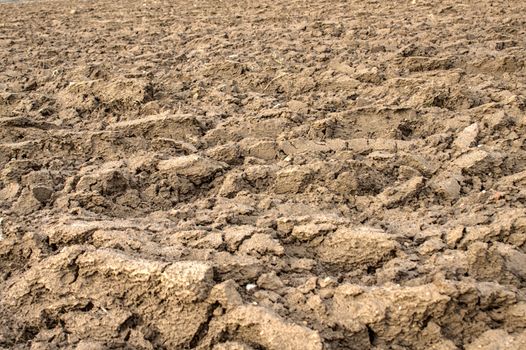 The picture shows a field from a farmer in the winter