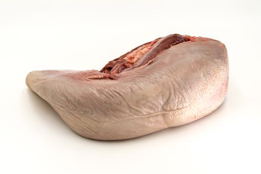 front view of a fresh beef tongue on a white background