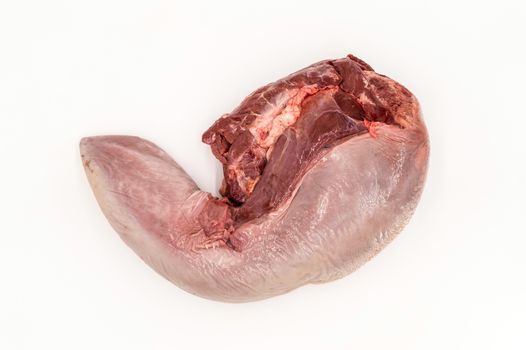 top view of a fresh beef tongue on a white background