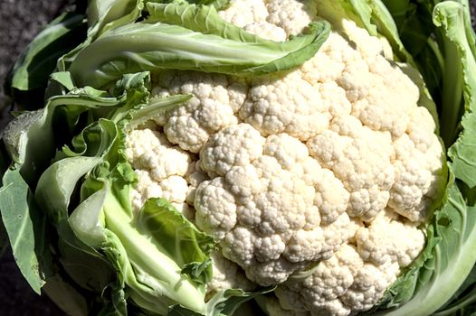 The picture shows fresh cauliflower with many leaves