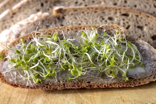 The picture shows a bread slice with butter and sprouts