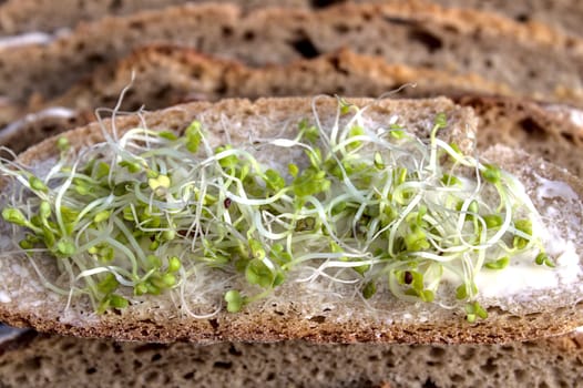 The picture shows a bread slice with butter and sprouts