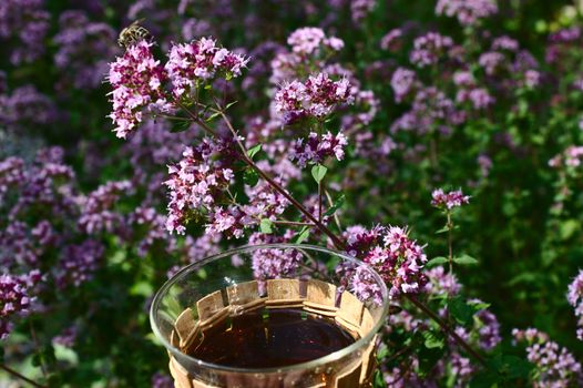 The picture shows mint in the forest and mint tea