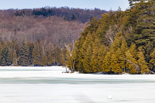 A frozen lake, specifically Meech Lake near Chelsea, Quebec in Canada, appears surrounded by forest trees and covered in a layer of snow and ice.