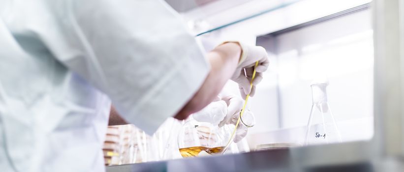 Female scientist working with laminar flow at corona virus vaccine development laboratory research facility. Corona virus pandemic concept. Development of virus treatment drug.