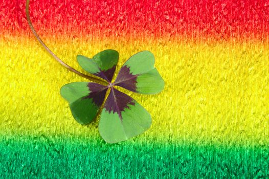 The picture shows lucky clover on colorful crepe paper