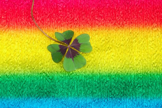 The picture shows lucky clover on colorful crepe paper