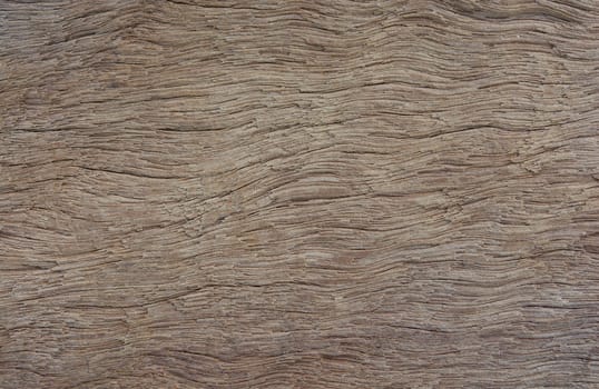 Old plank wood texture background. wood surface eroded as background
