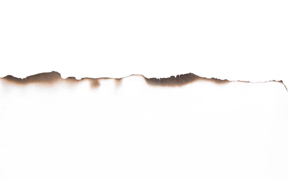 Paper burned old grunge on white background with clipping path
