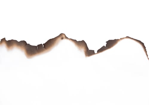 Paper burned old grunge on white background with clipping path
