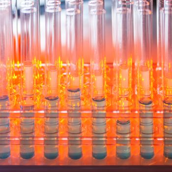 Glass test tubes containing blue liquid on warm orange background. Laboratory, science and research concept.